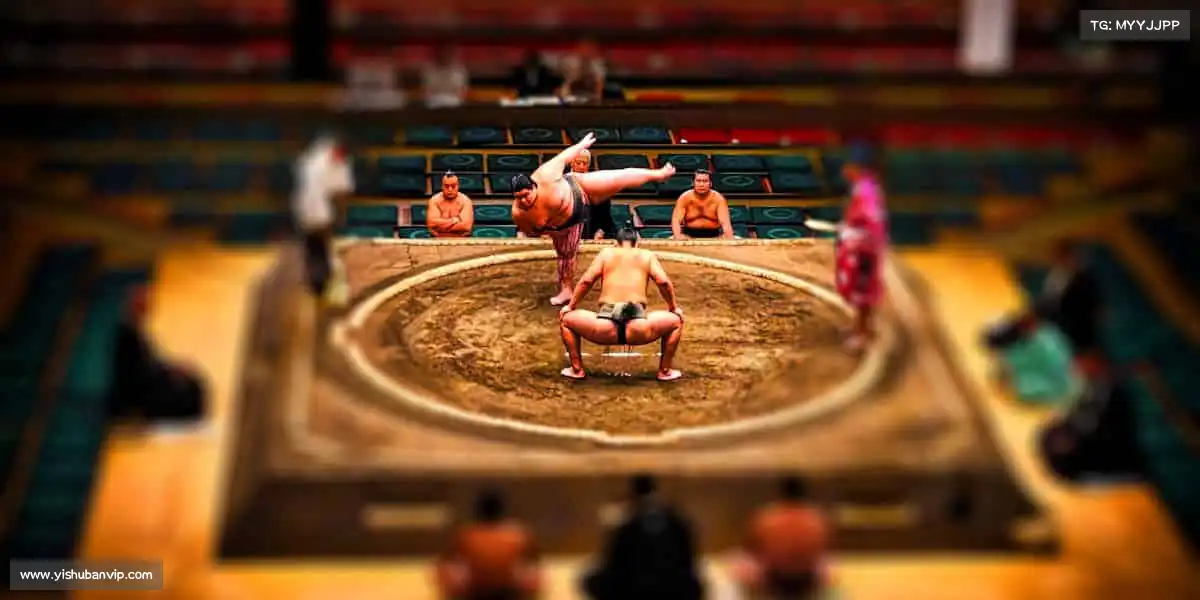 sg胜游亚洲体育——每一次挥汗,都是对自己的超越!💪